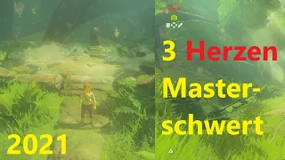 Mit 3 Herzen Masterschwert 2021😨😨😨 Zelda Botw Glitch🗡