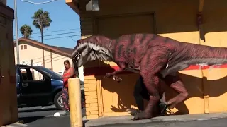 T-REX DINOSAUR PRANK!