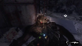 Metro Exodus.Библиотекарь! Как убить?