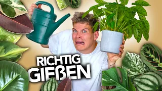 PFLANZEN GIEßEN - So geht's richtig | Joey's Jungle Plants