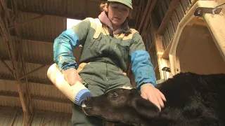 France: A day in the life of a female farmer