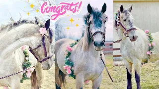 MY AUCTION MARE IS PREGNANT! *Official Announcement*