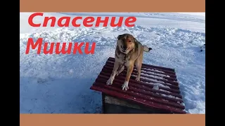 Спасение Мишки!