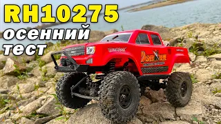 Бюджетный краулер Remo Hobby RH10275 по осеннему лесу и камням