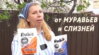 Если надоели слизни и муравьи смотрите это видео, чтобы раз и навсегда решить эту проблему🙌