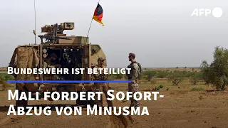 Mali fordert Sofort-Abzug der UN-Mission Minusma - Bundeswehr ist beteiligt | AFP