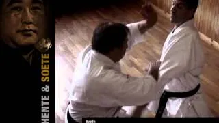 Secret technic Shotokan Shadow of  the Tiger Albert Boutboul