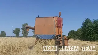 żniwa 2022 żyto 🌾agro bracia team🌾