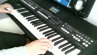 El Condor pasa (Simon & Garfunkel) cover by Henry, Yamaha PSR SX600