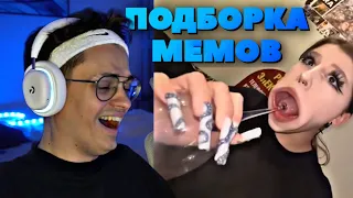 БУСТЕР СМОТРИТ UNUSUAL MEMES COMPILATION V205 / БУСТЕР СМОТРИТ ПОДБОРКУ МЕМОВ / BUSTER PENCIL