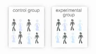 What is a control group?