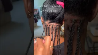 Mini Twists on Natural Hair w/Extensions #naturalhair #twists