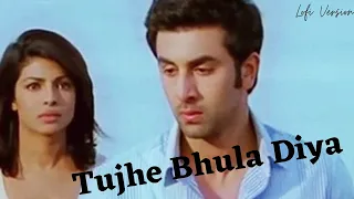 Tujhe Bhula Diya [Slowed +Reverb] | Anjaana Anjaani | HindiLofi | Lofi Version | Lofi Music Vibes