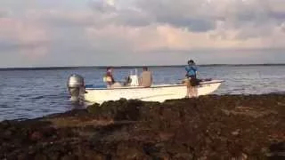 UF/IFAS Research Oyster Reef Restoration