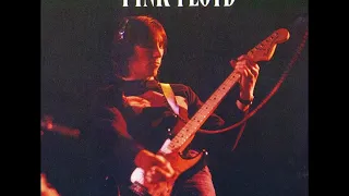 Pink Floyd   Live at the Rainbow Theater 11 4 73   Obscured by Clouds   When you're in