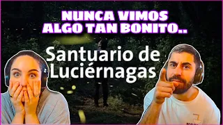 REACCIÓN - SANTUARIO de LUCIÉRNAGAS | sin PALABRAS *LAS MARAVILLAS DEL MUNDO* Alan por el mundo