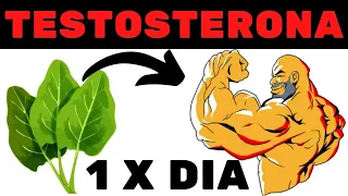 3 RECEITAS Para AUMENTAR a TESTOSTERONA