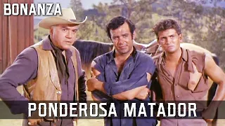 Bonanza - Ponderosa Matador | Episode 149 | AMERICAN SERIES | Cowboys | Wild West | English