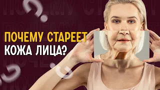 Правда старения, из-за которой спорят Фейстренера