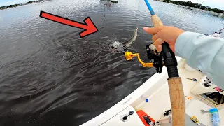 We Caught PREHISTORIC Sea Creatures!! (MYSTERY SOLVED)