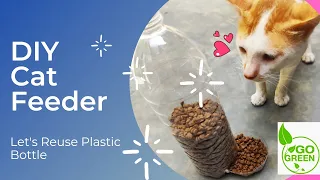 DIY Cat/ Pet Feeder