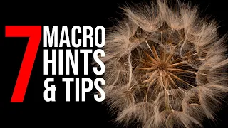 7 MACRO Photography Hints & Tips - Home Studio Close Up Photography
