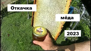 Откачка меда 2023г.