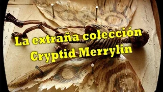 La Extraña Coleccion Cryptid Merrylin