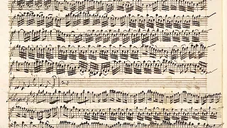 VIVALDI | Violin Concerto RV 275 in E minor | Vienna manuscript