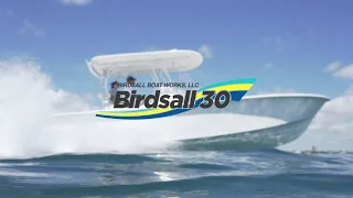 Birdsall 30 - In Depth Video Walkthrough