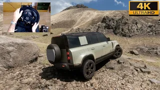 Forza Horizon 5 - 2020 LAND ROVER DEFENDER - OFF-ROAD with THRUSTMASTER TX + TH8A - 4K