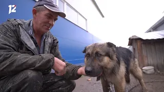 «Час новостей». Итоговый выпуск (14.06.22)