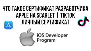 Что такое сертификат разработчика apple? Сертификат ТикТок и Скарлет на год. Apple developer