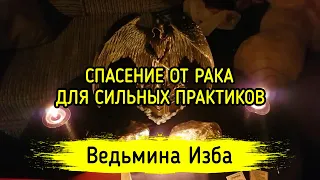 СПАСЕНИЕ ОТ РАКА. ДЛЯ СИЛЬНЫХ ПРАКТИКОВ. ВЕДЬМИНА ИЗБА ▶️ МАГИЯ