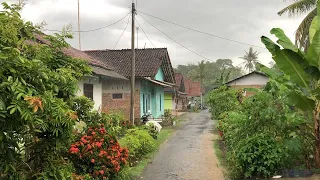 Heavy Rain Walks in the Village | Peaceful and Quiet Village Life | Rain Sounds for Better Sleep