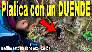 duendes hablan por primera vez en cámara parte 2 ( nuevo vídeo viral )