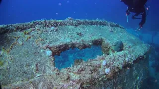 plongée boca chica avec tropical sea divers