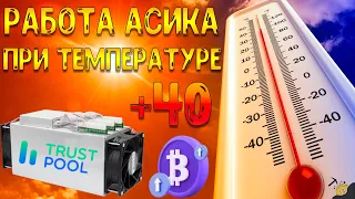 РАБОТА АСИКА ПРИ ТЕМПЕРАТУРЕ +40