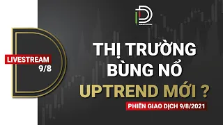 Thị trường bùng nổ, Uptrend mới ?