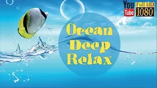 3 hours 🎵7 Solfeggio Frequencies 🎵 Soft Lounge Music 🎵 Calming Ambient Melody for Daily Relax