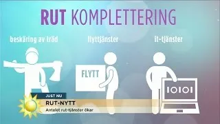 Det här är de nya RUT-reglerna - Nyhetsmorgon (TV4)