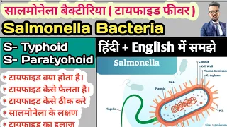 Salmonella Bacteria | Typhoid | Enteric Fever| Typhoid Fever| Paratyphoid Fever| Widal Test in hindi