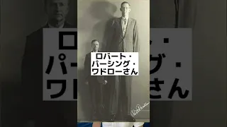 【ギネス世界記録】最も身長の高い人間。#shorts