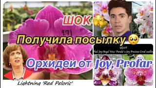 Шок посылка! Распаковка орхидеи от Profar, Joy 🪴Привожу в чувства новые #орхидеи  🌸🪴