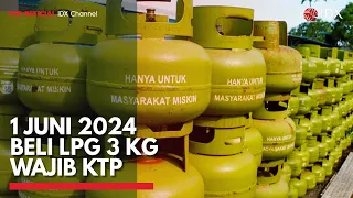 1 Juni 2024 Beli LPG 3 KG Wajib KTP | IDX CHANNEL