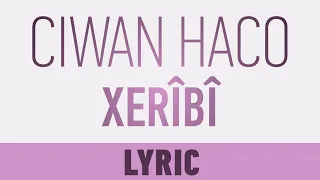 Ciwan Haco -  Xerîbî [Lyric Video | Gotinên Stranê]