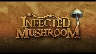 Infected Mushroom concert 2008 part 2