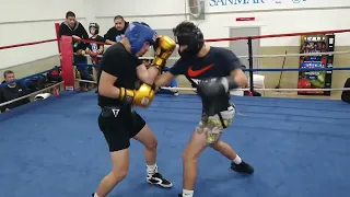 JUNGLEBOXINGCLUB _IRVING PAL 01.022024(4)