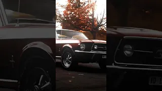 1969 mustang 😈🔥#shorts #1969 #ford #mustang #cars #edit #viral #viralvideo