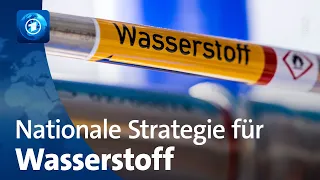 Die Bundesregierung setzt große Hoffnungen in grünen Wasserstoff